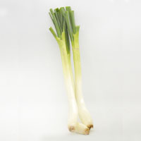 Cebolla Larga