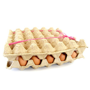 Huevos medianos gallina en pastoreo