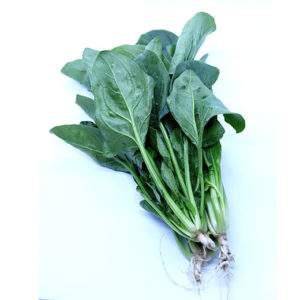 Espinaca
